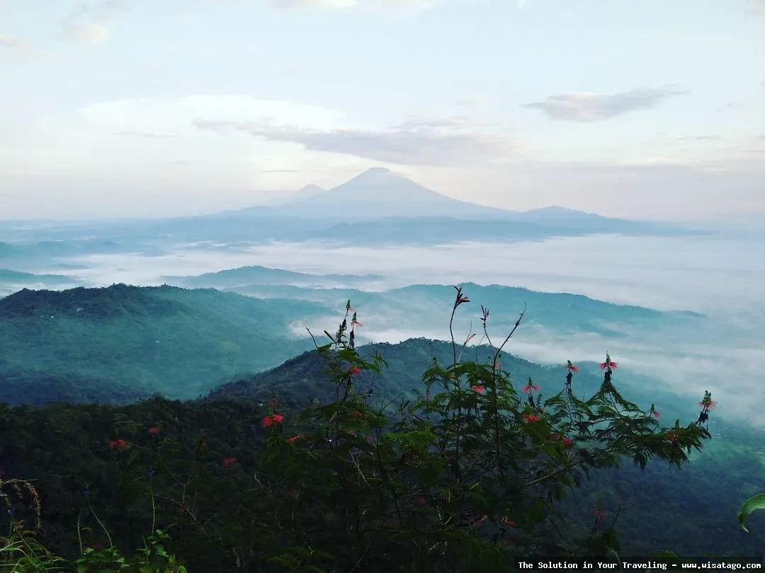 wisata Puncak Suroloyo, pemandangan menakjubkan