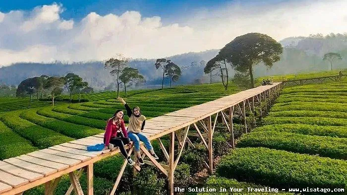 Wisata Puncak Terbaru dengan pemandangan indah
