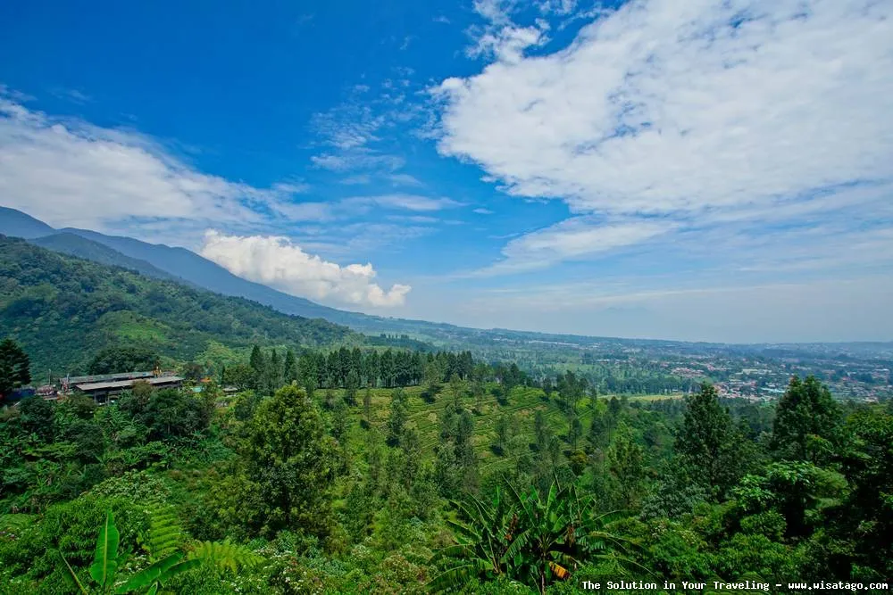 Wisata Puncak Terbaru yang memukau