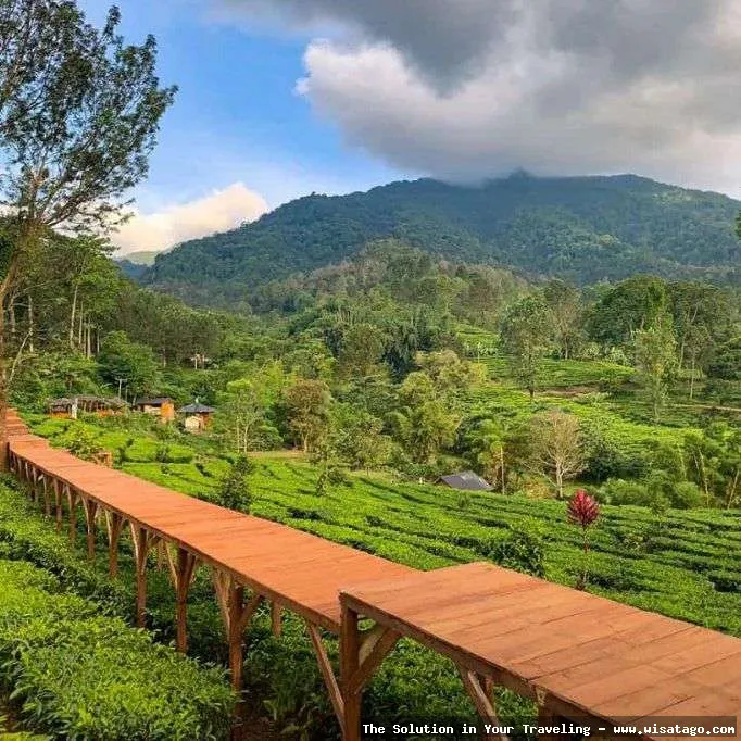 Wisata Puncak Terbaru, pemandangan memukau