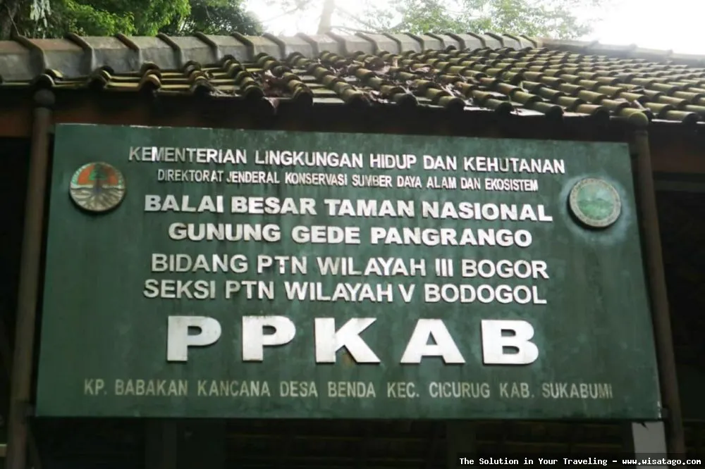 Wisata Pusat Pendidikan Konservasi Alam Bodogol