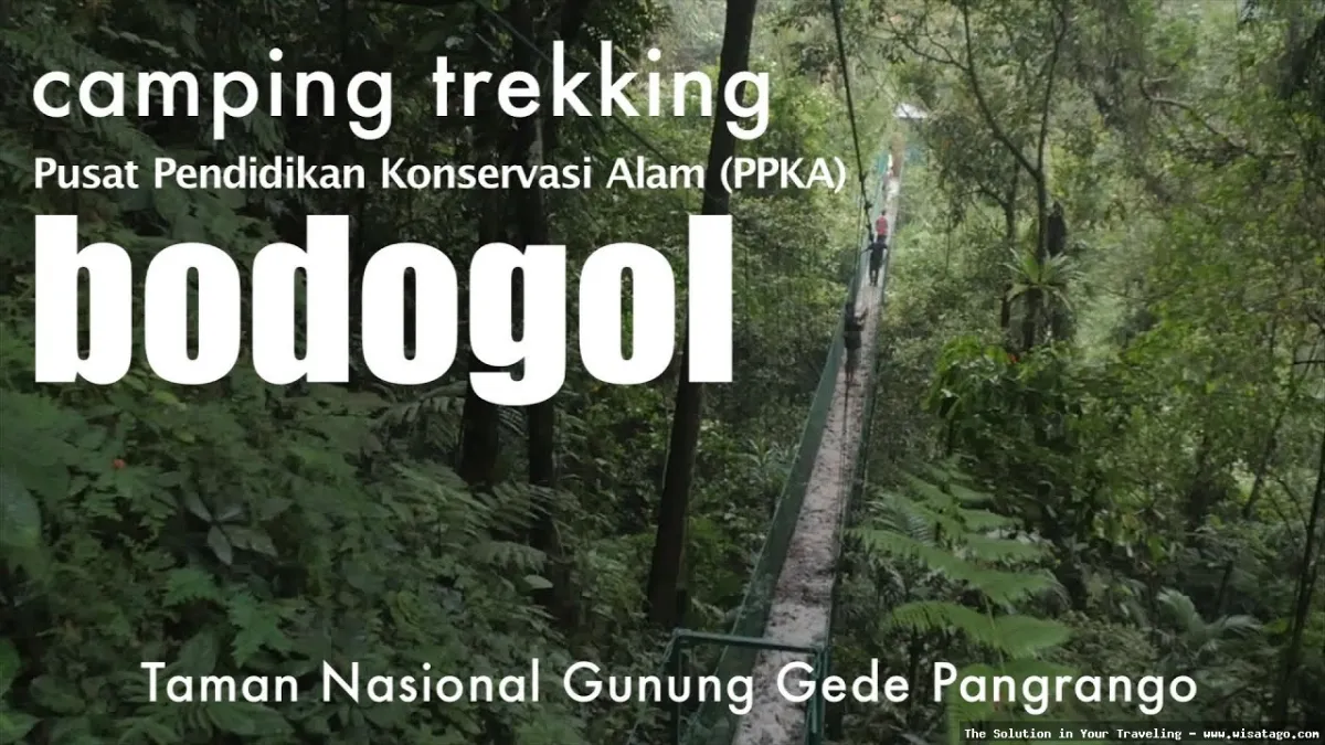 Wisata Pusat Pendidikan Konservasi Alam Bodogol