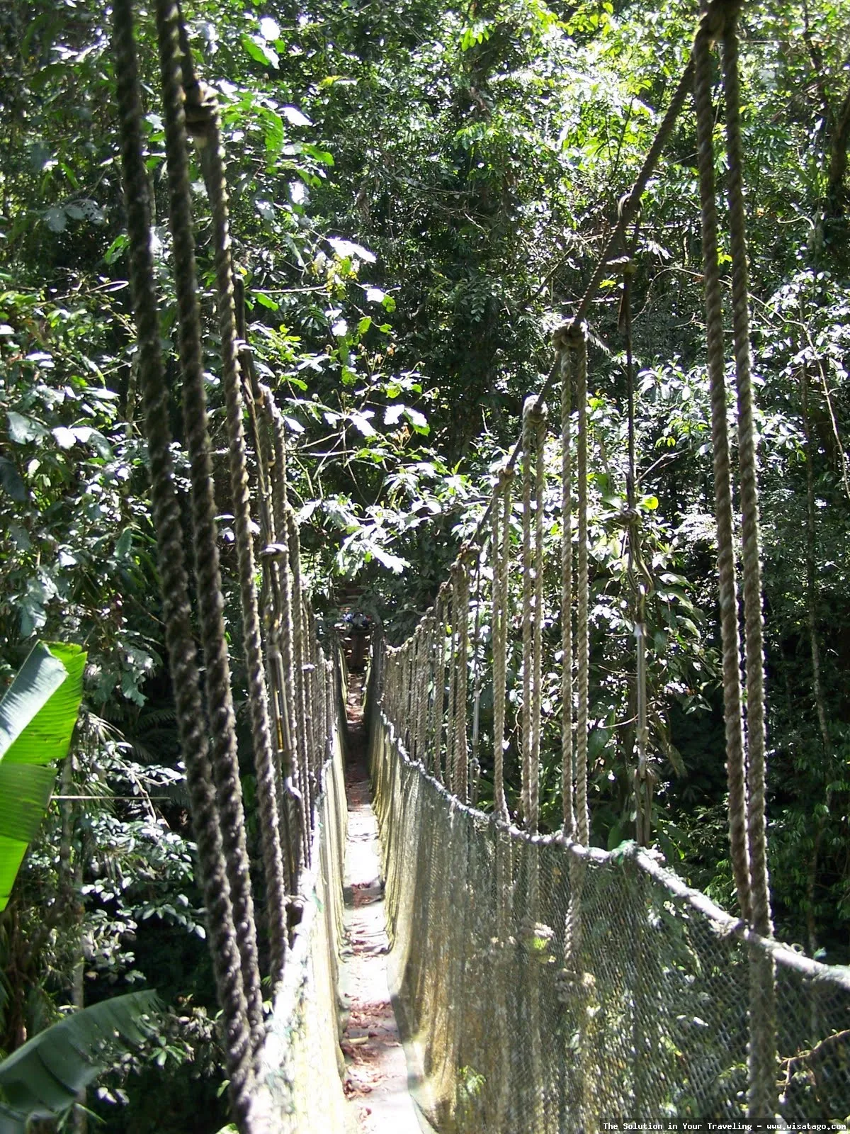 Wisata Pusat Pendidikan Konservasi Alam Bodogol
