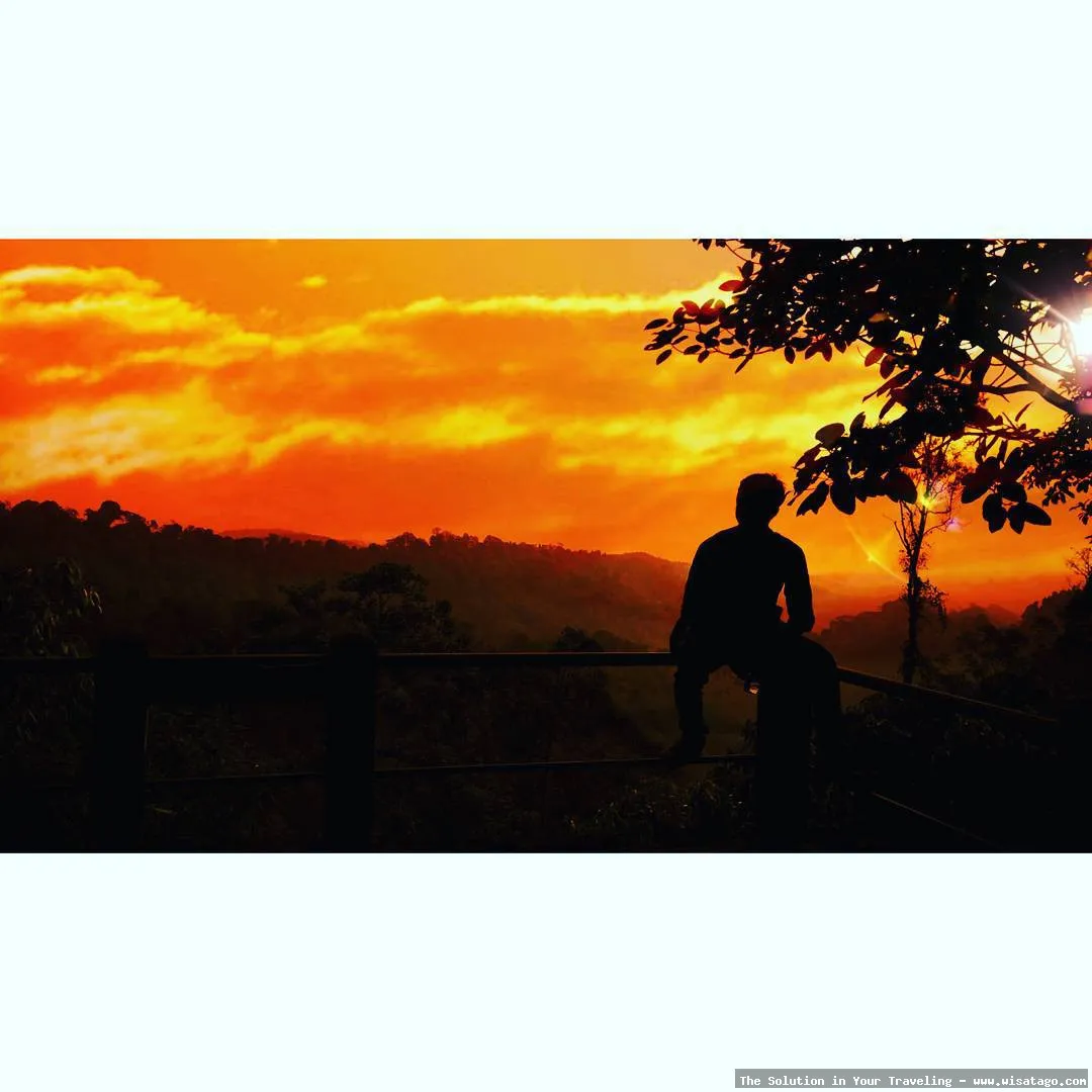 Wisata Pusat Pendidikan Konservasi Alam Bodogol