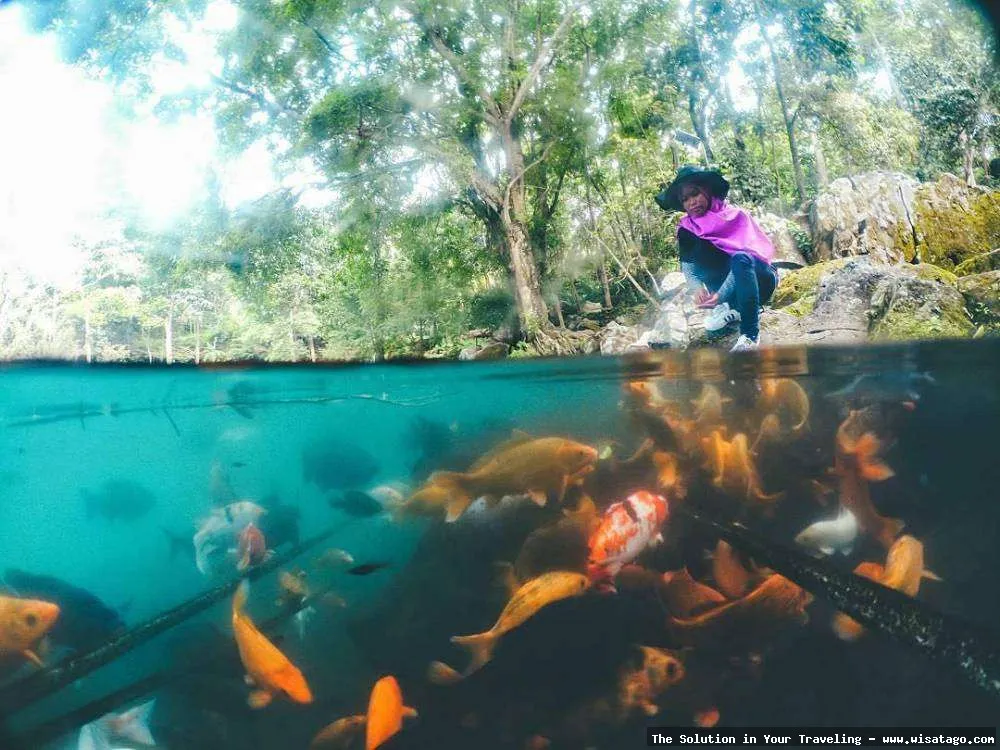 Wisata Situ Cicerem yang sangat indah