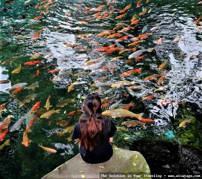 Wisata Situ Cicerem yang memesona