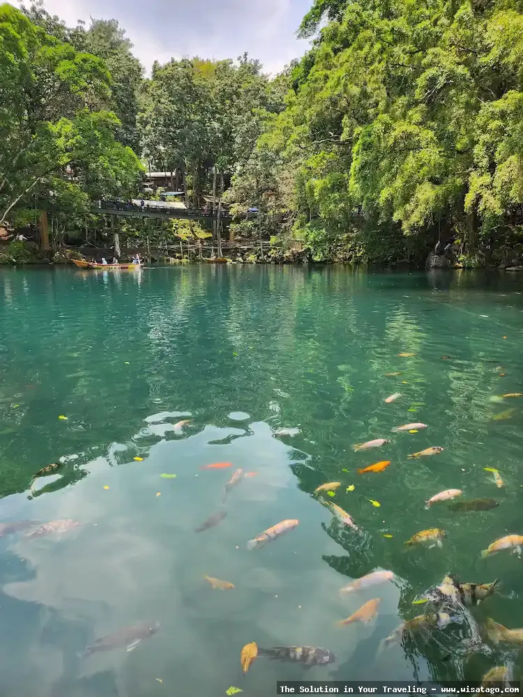 Wisata Situ Cicerem yang menawan.