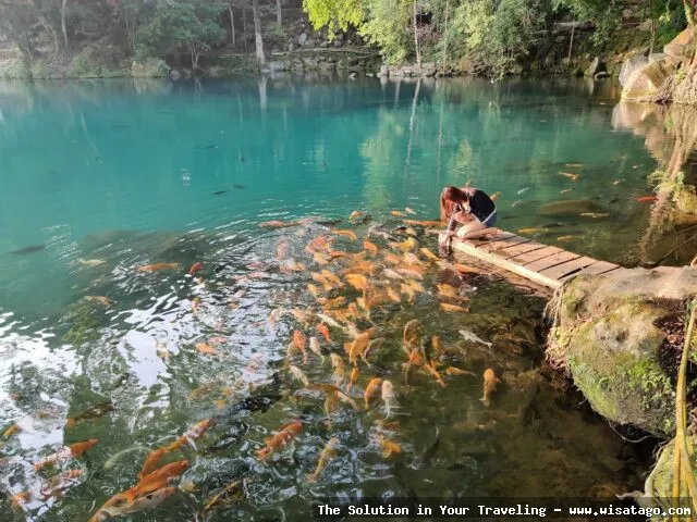 Wisata Situ Cicerem yang menenangkan