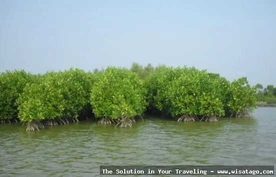 Wisata Situs Mojo, jelajah sejarah purbakala.