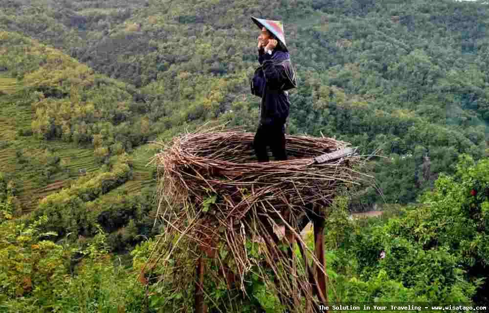 Wisata Situs Mojo: Eksplorasi Sejarah