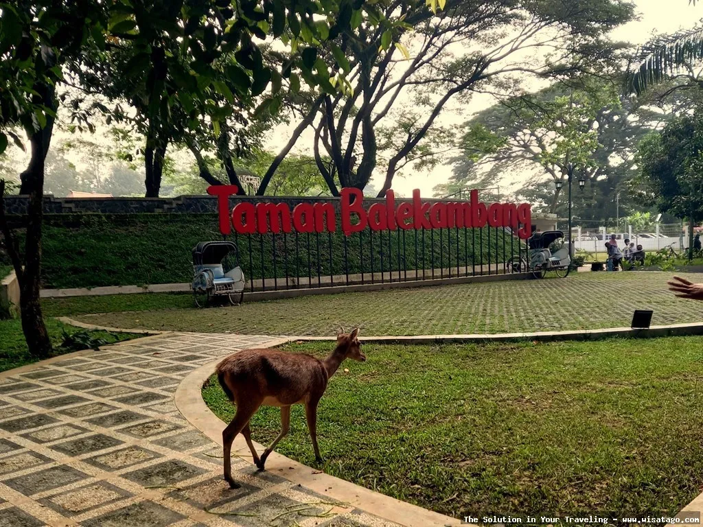 wisata Taman Balekambang yang menawan