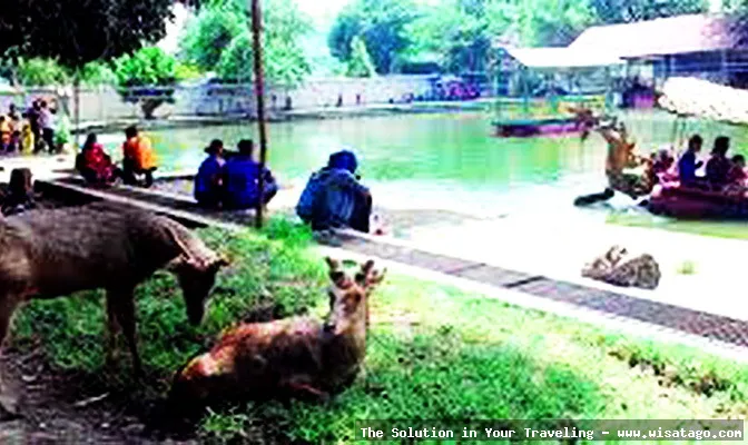 Wisata Taman Balekambang yang menawan