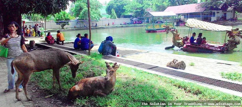 Wisata Taman Balekambang yang asri