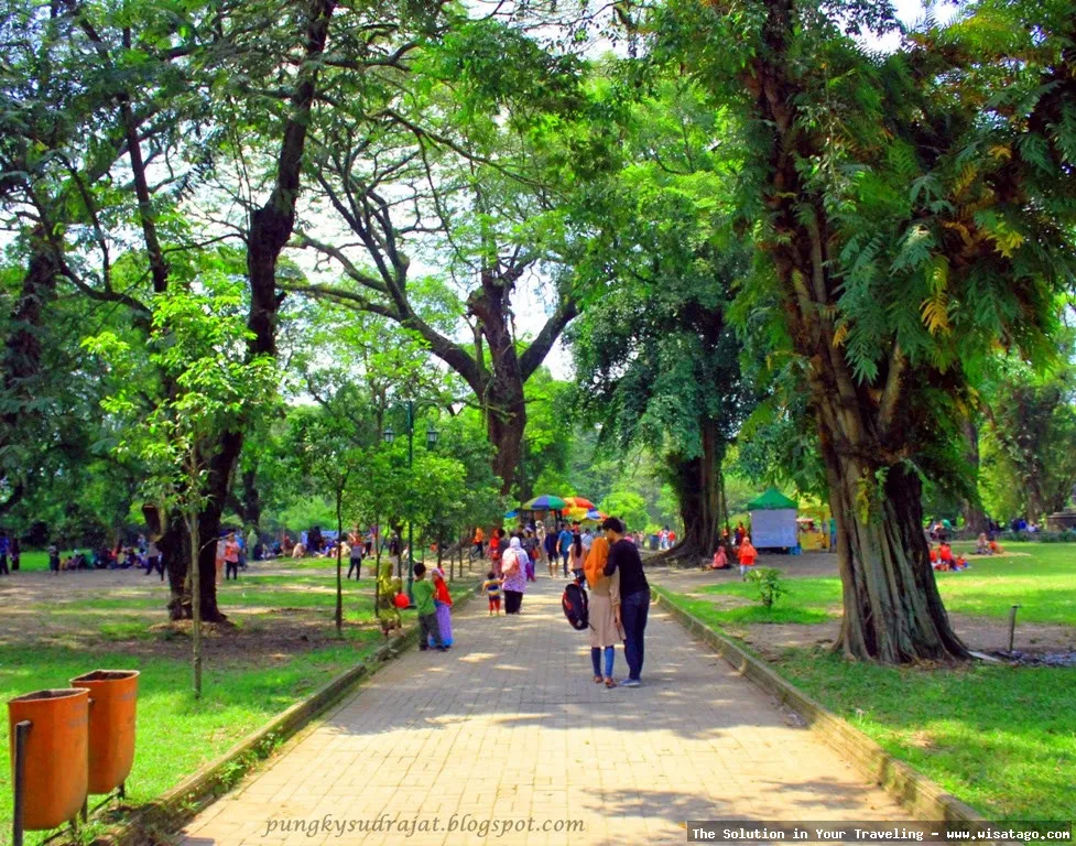 Wisata Taman Balekambang yang menawan