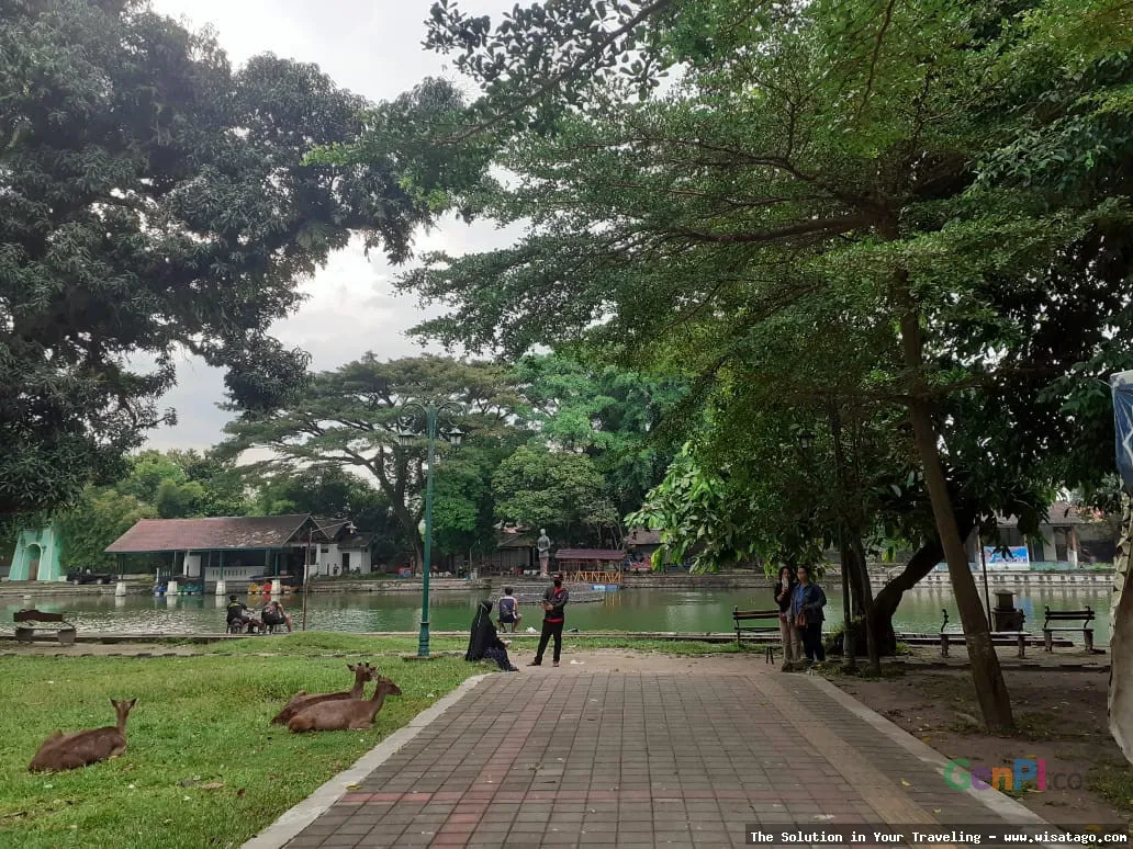 wisata Taman Balekambang yang asri