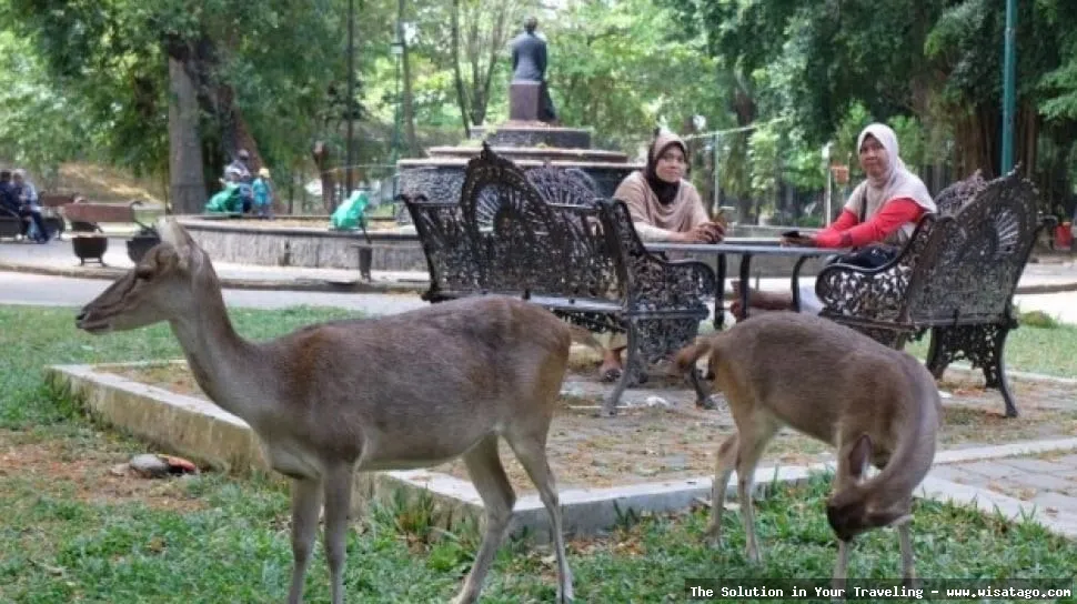 Wisata Taman Balekambang yang menawan