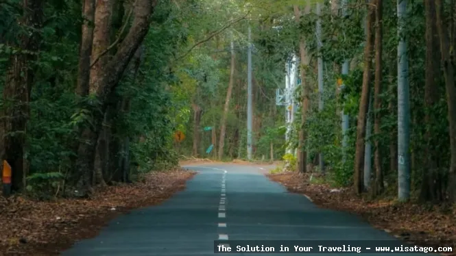 wisata Taman Nasional Alas Purwo menakjubkan