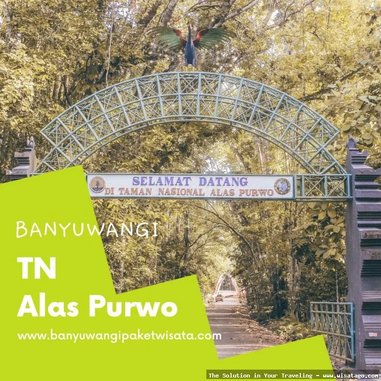 wisata Taman Nasional Alas Purwo Banyuwangi