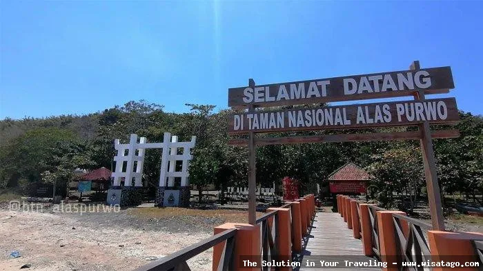 Wisata Taman Nasional Alas Purwo nan eksotis