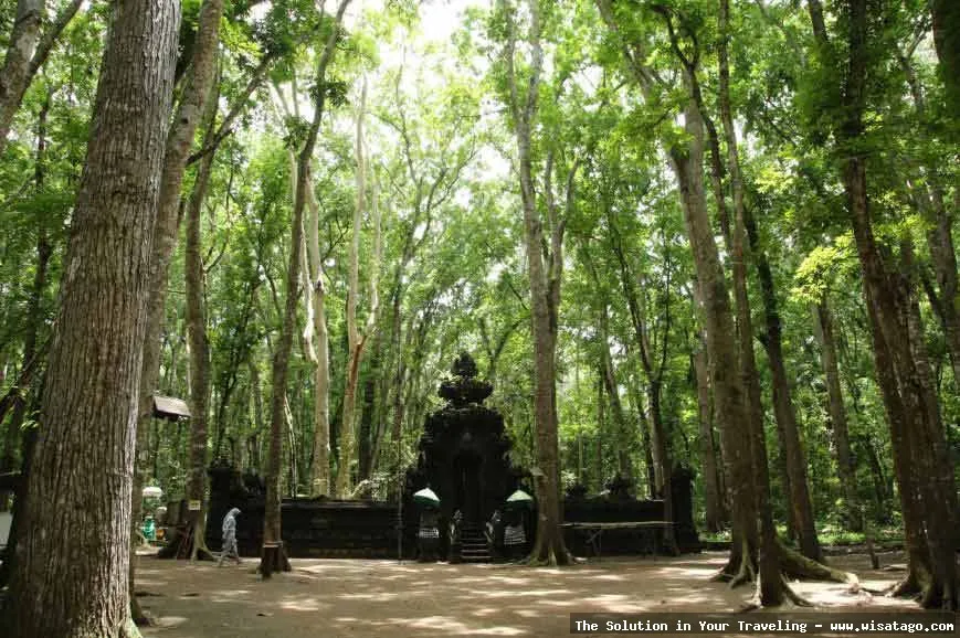 Wisata Taman Nasional Alas Purwo, eksotis.