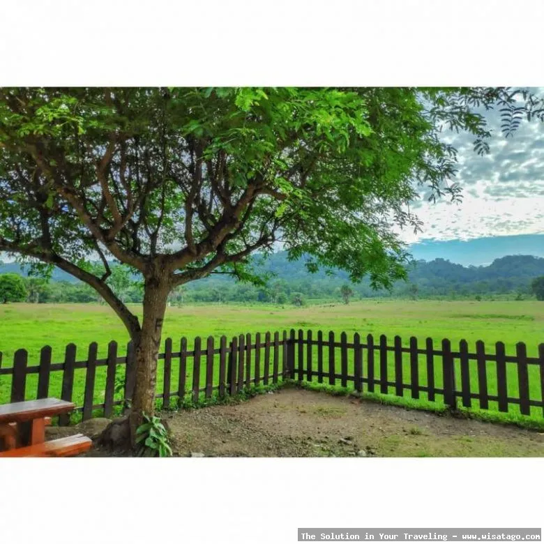 Wisata Taman Nasional Alas Purwo, eksotis.