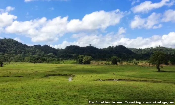 Wisata Taman Nasional Alas Purwo, eksotis.