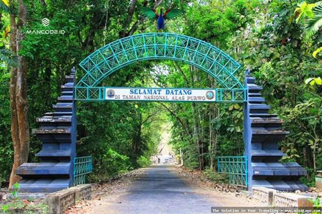 wisata Taman Nasional Alas Purwo, Banyuwangi