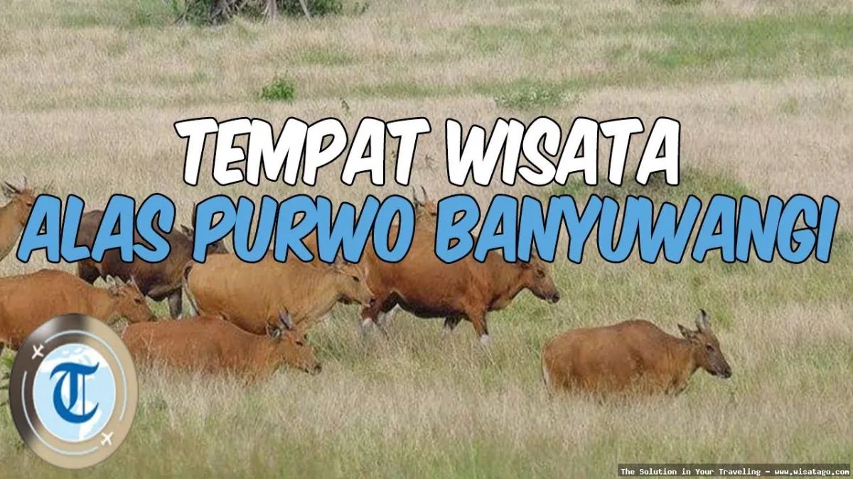 wisata Taman Nasional Alas Purwo Banyuwangi
