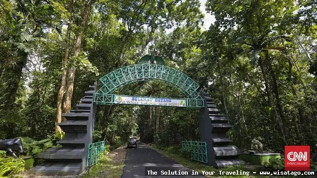 Wisata Taman Nasional Alas Purwo nan eksotis