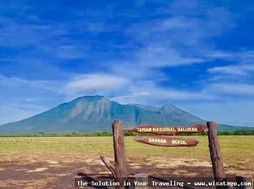 wisata Taman Nasional Baluran nan eksotis