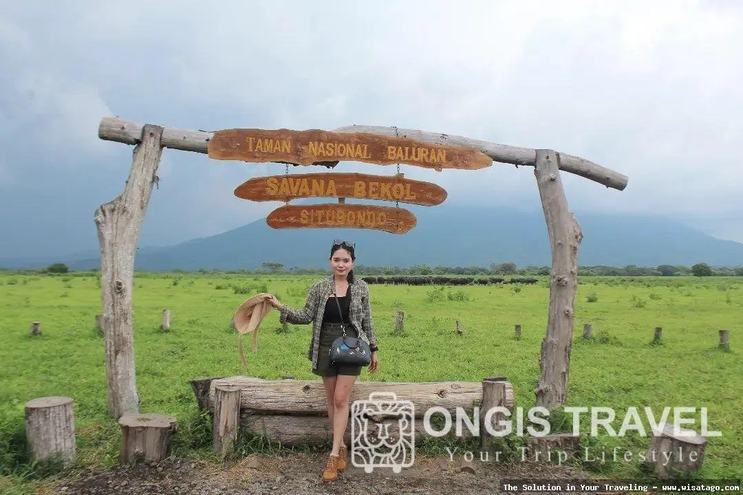 Wisata Taman Nasional Baluran yang memukau