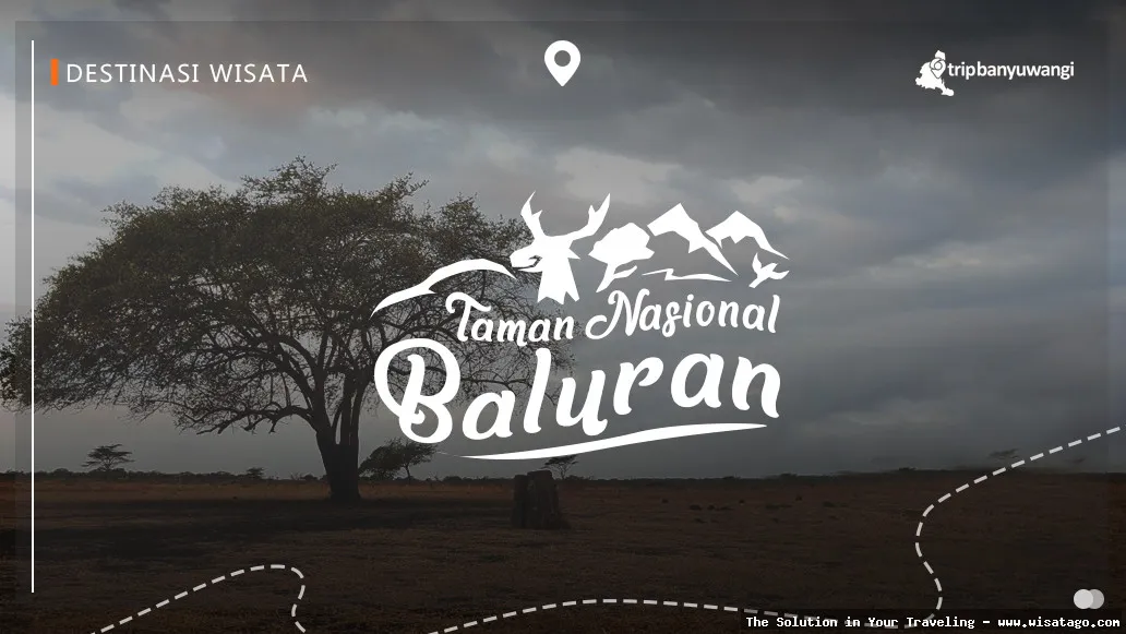 wisata Taman Nasional Baluran yang eksotis