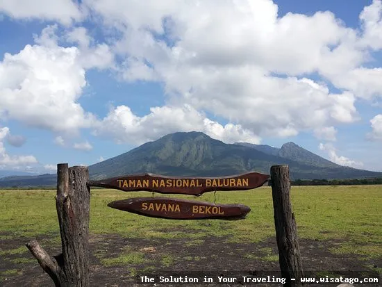 wisata Taman Nasional Baluran yang eksotis
