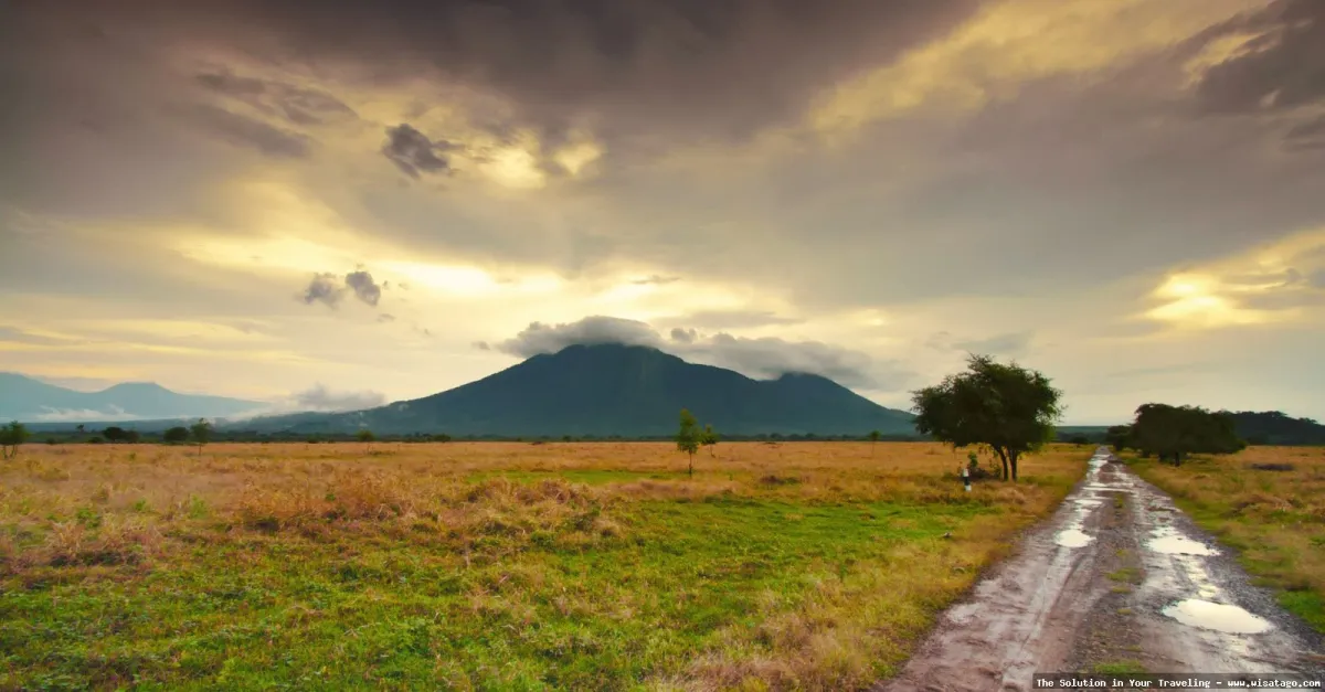 Wisata Taman Nasional Baluran yang eksotis.