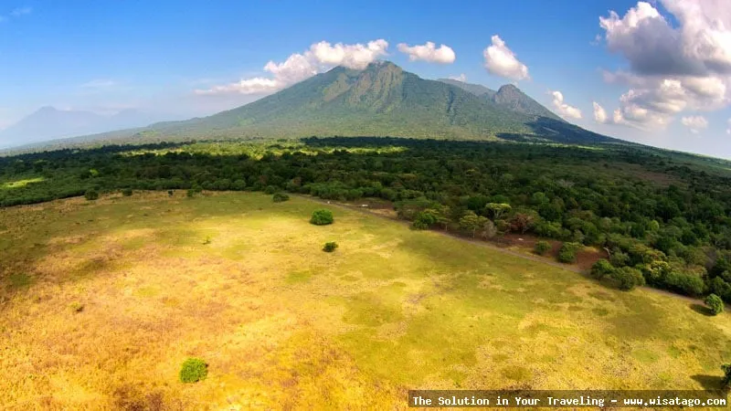 wisata Taman Nasional Baluran yang eksotis