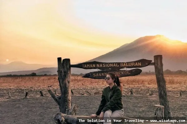 Wisata Taman Nasional Baluran yang eksotis