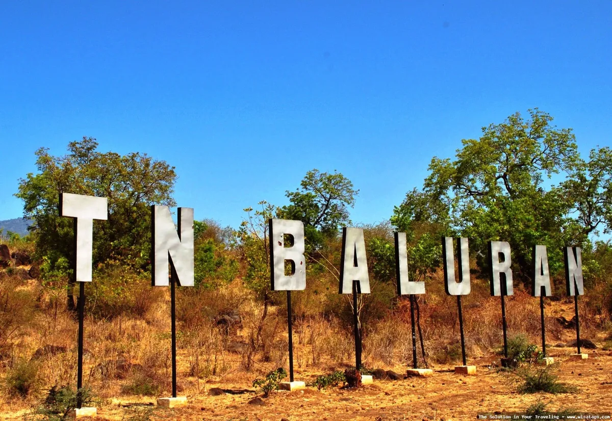 Wisata Taman Nasional Baluran yang memukau