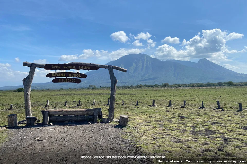 wisata Taman Nasional Baluran yang memukau