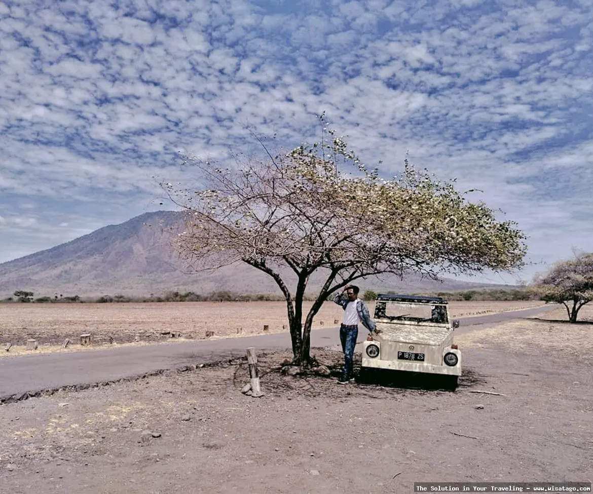 Wisata Taman Nasional Baluran yang memukau