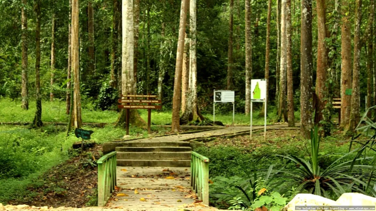 Wisata Taman Wisata Senaputra yang indah