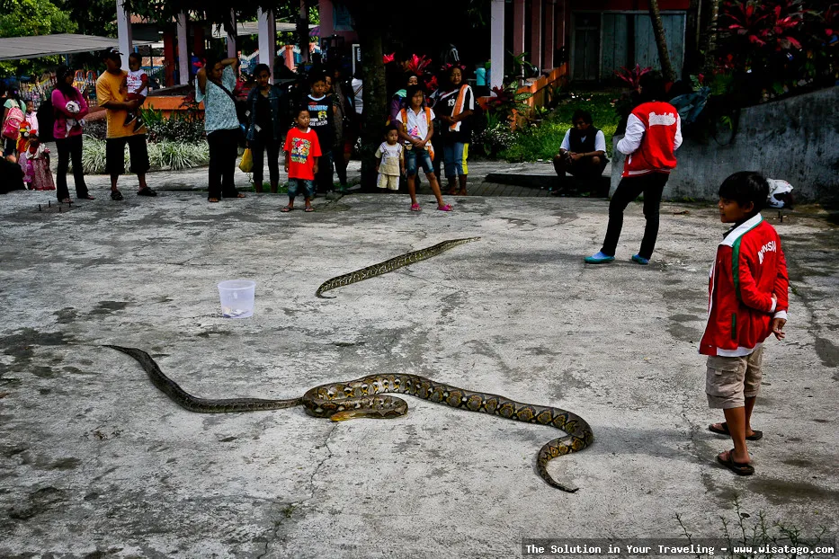 wisata Taman Wisata Senaputra yang asri