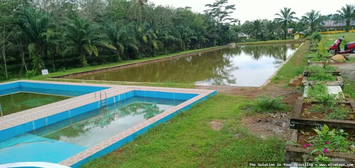 Wisata Tambak Baru: Tips, Harga Tiket, Kuliner, Lokasi, Fasilitas dan Spot