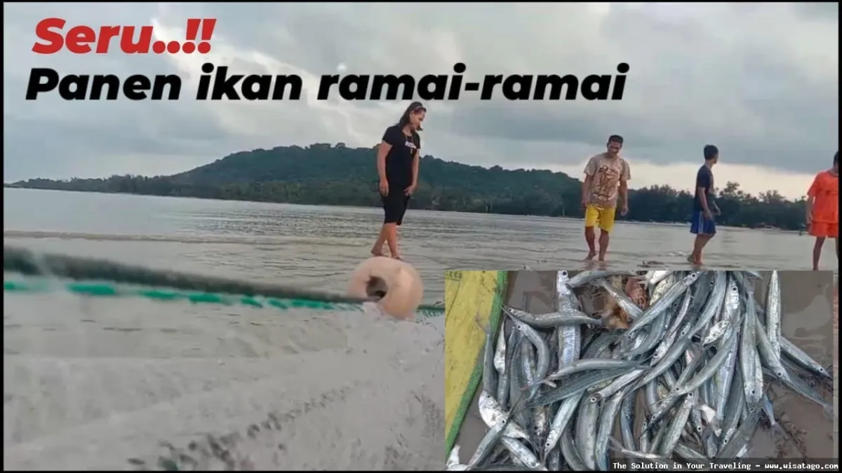 Wisata TARIK PUKAT DESA SUA SUA seru