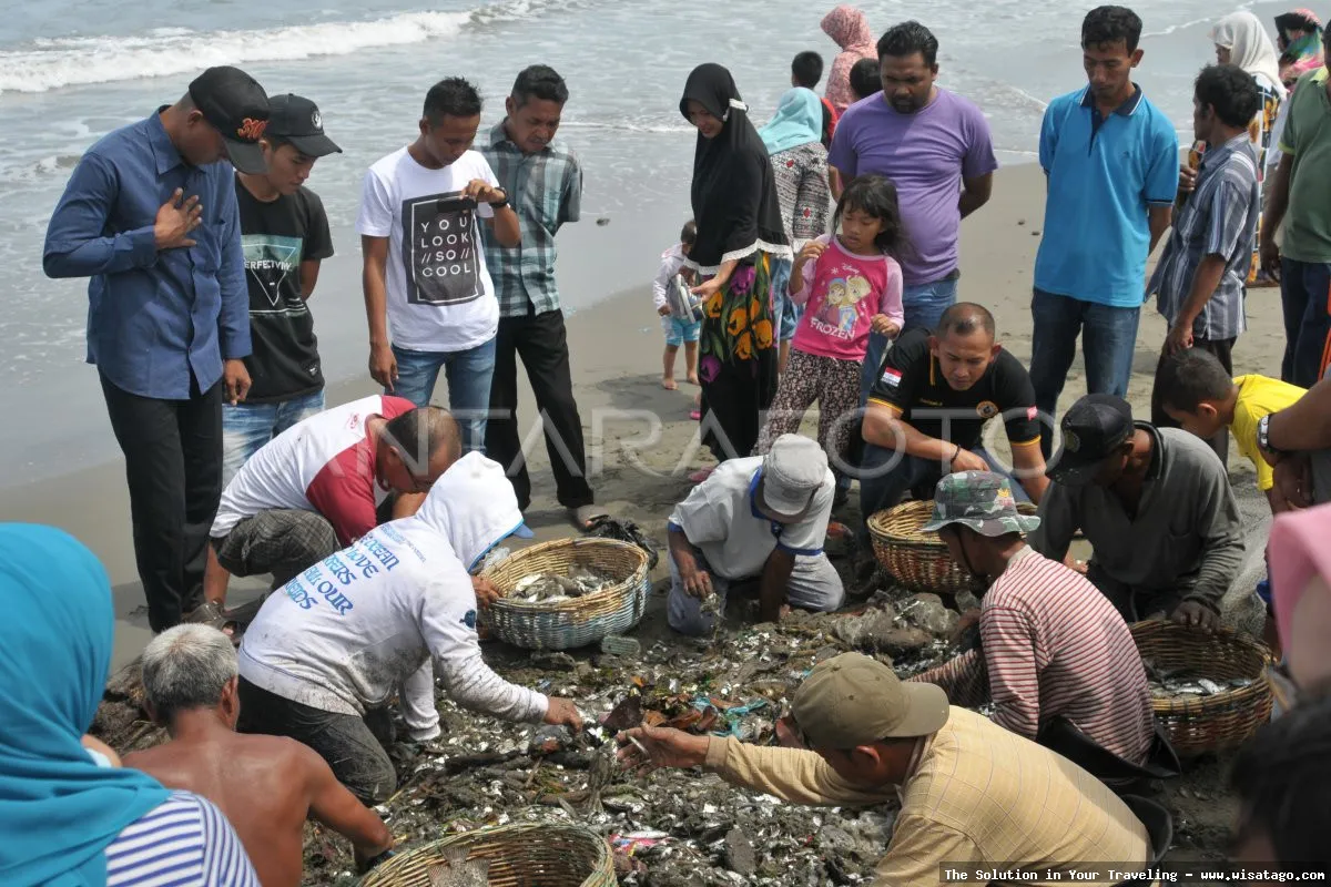 wisata TARIK PUKAT DESA SUA SUA seru