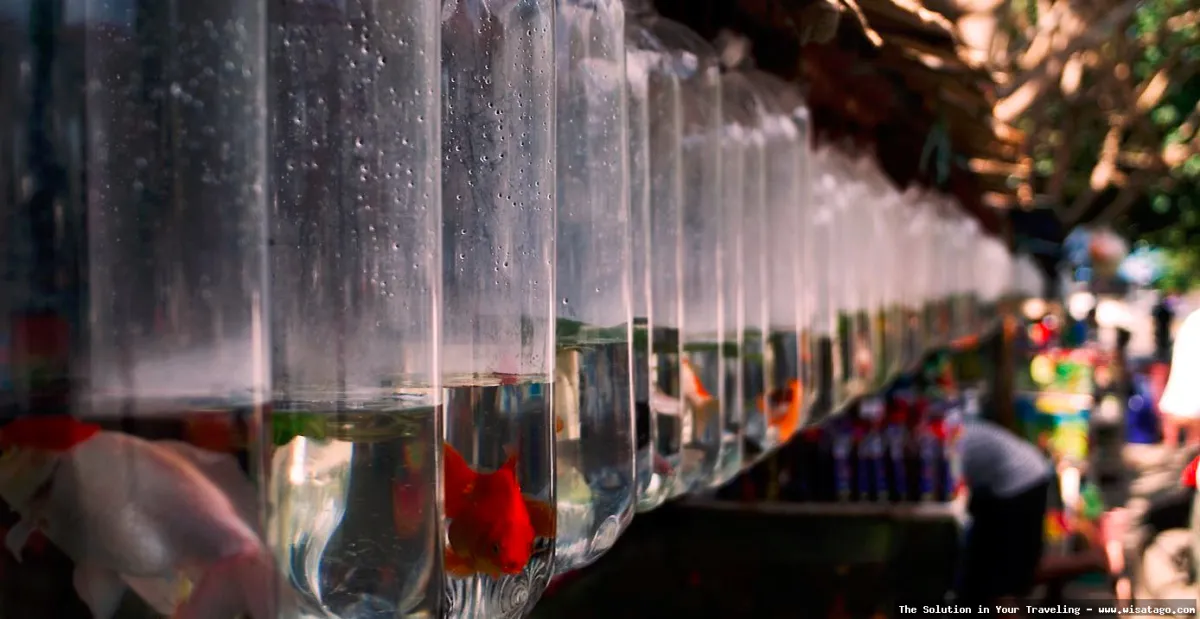 Wisata Usaha Kecil Enga yang menarik