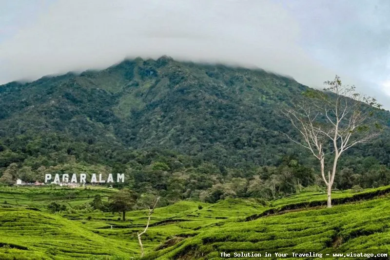 Wisata Wisata Alam Sulili Baebunta: Tips, Harga Tiket, Kuliner, Lokasi, Fasilitas dan Spot